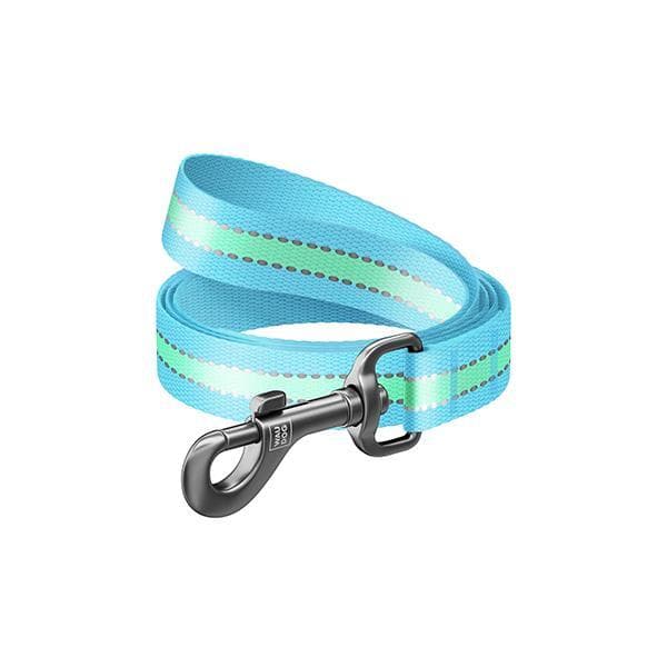 Laisse Nylon Fluo, Multi, Largeur: 20 Mm, Longueur: 122 Cm Bleu