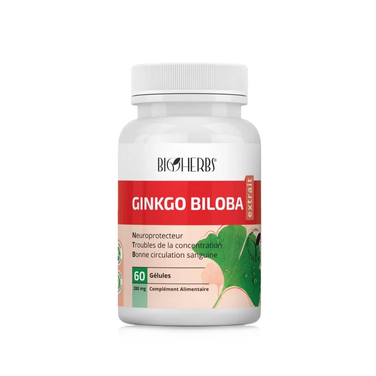 Bioherbs Ginko Biloba 60 Gelules