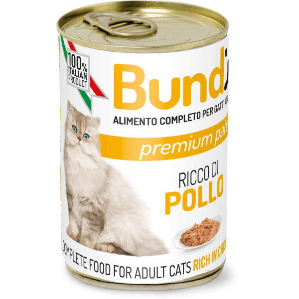 Bundy Cat Chicken 400gr
