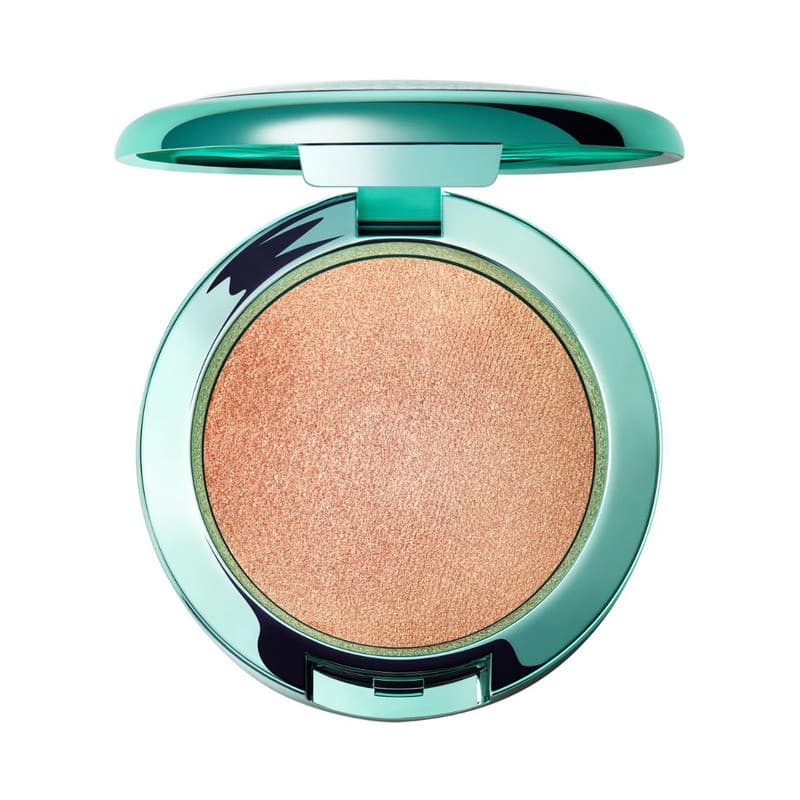 Holiday Collection Bounce &...